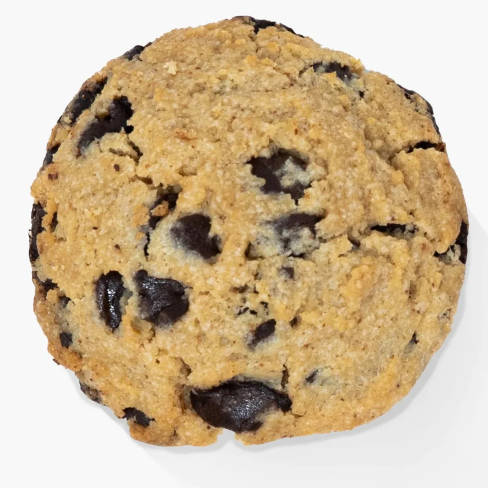 Galleta