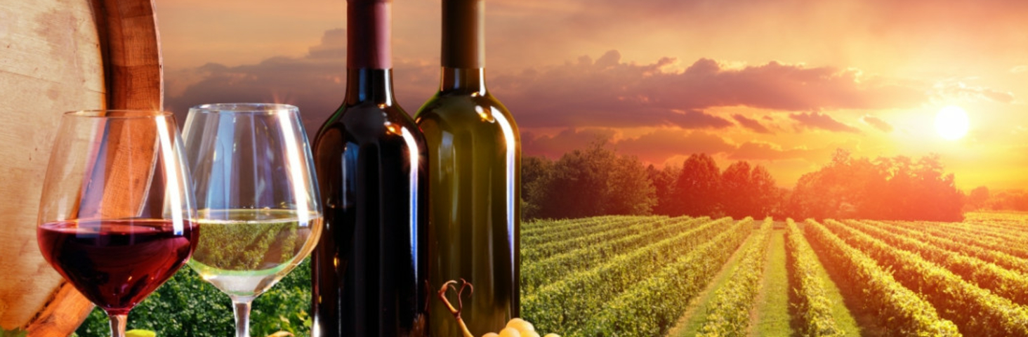 CARTA DE VINOS